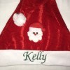 Fluffy Santa - +$1.00